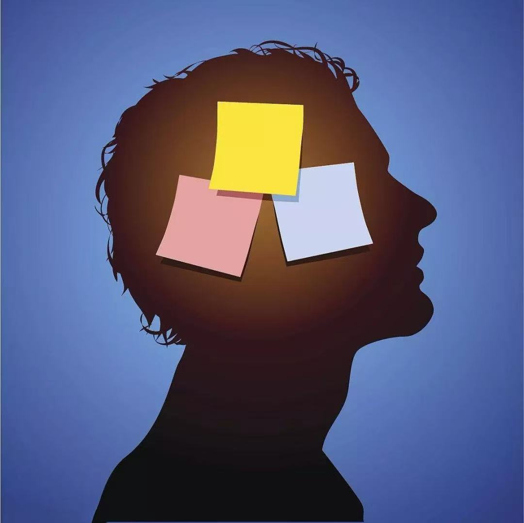 brain.